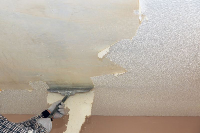 Textured Ceiling Removal